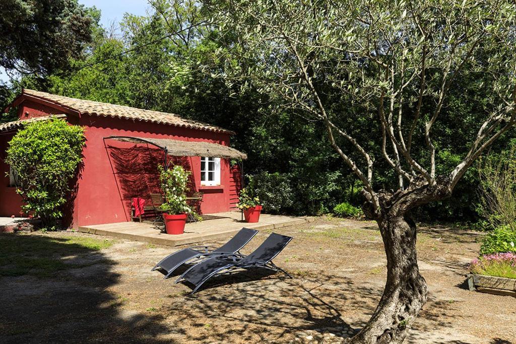 Les Gites Du Domaine De Rhodes Авиньон Екстериор снимка