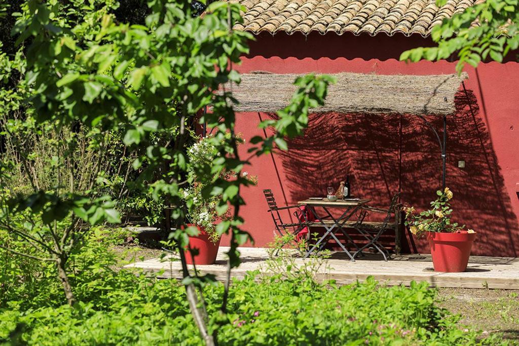 Les Gites Du Domaine De Rhodes Авиньон Стая снимка