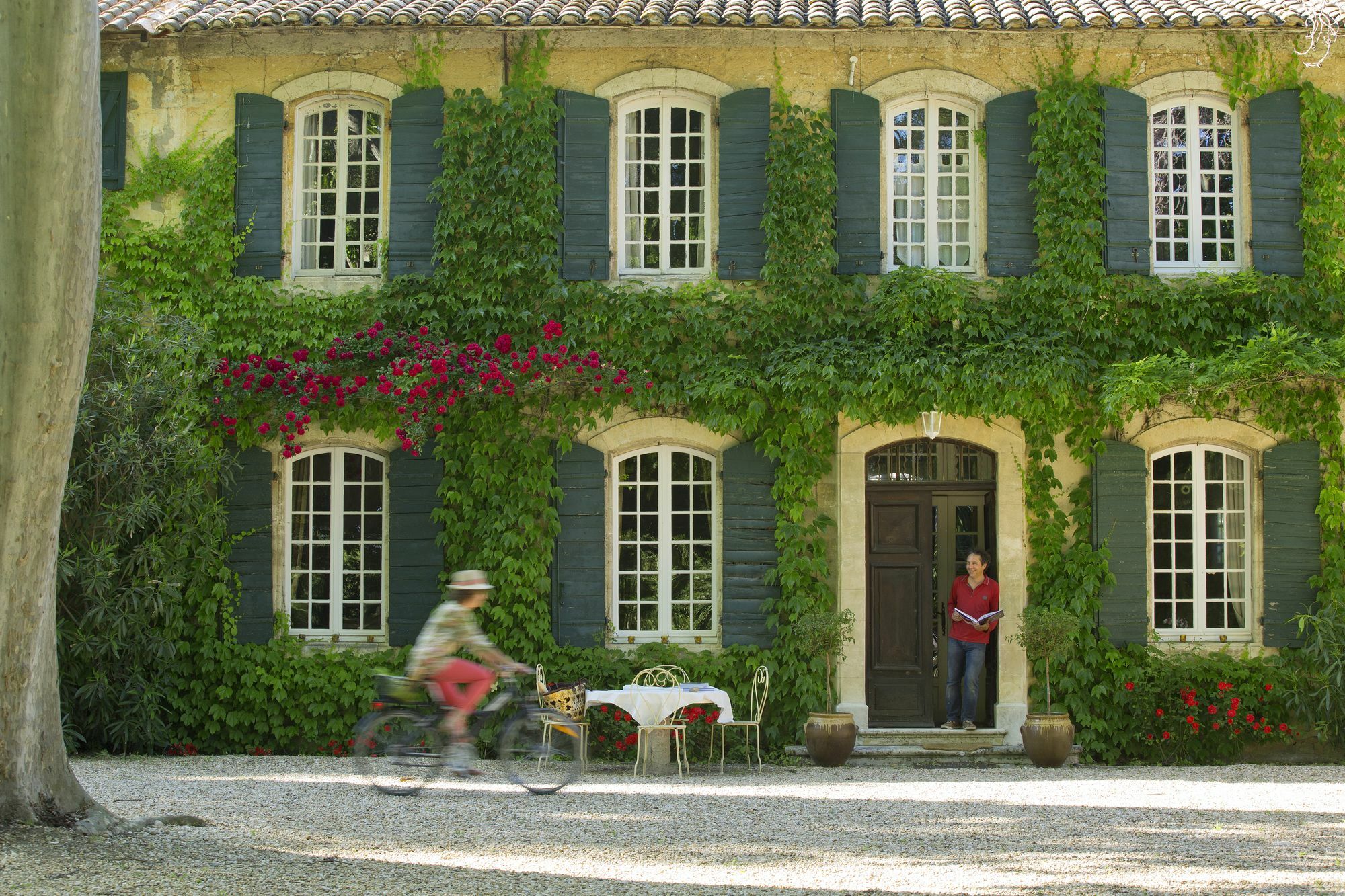 Les Gites Du Domaine De Rhodes Авиньон Екстериор снимка