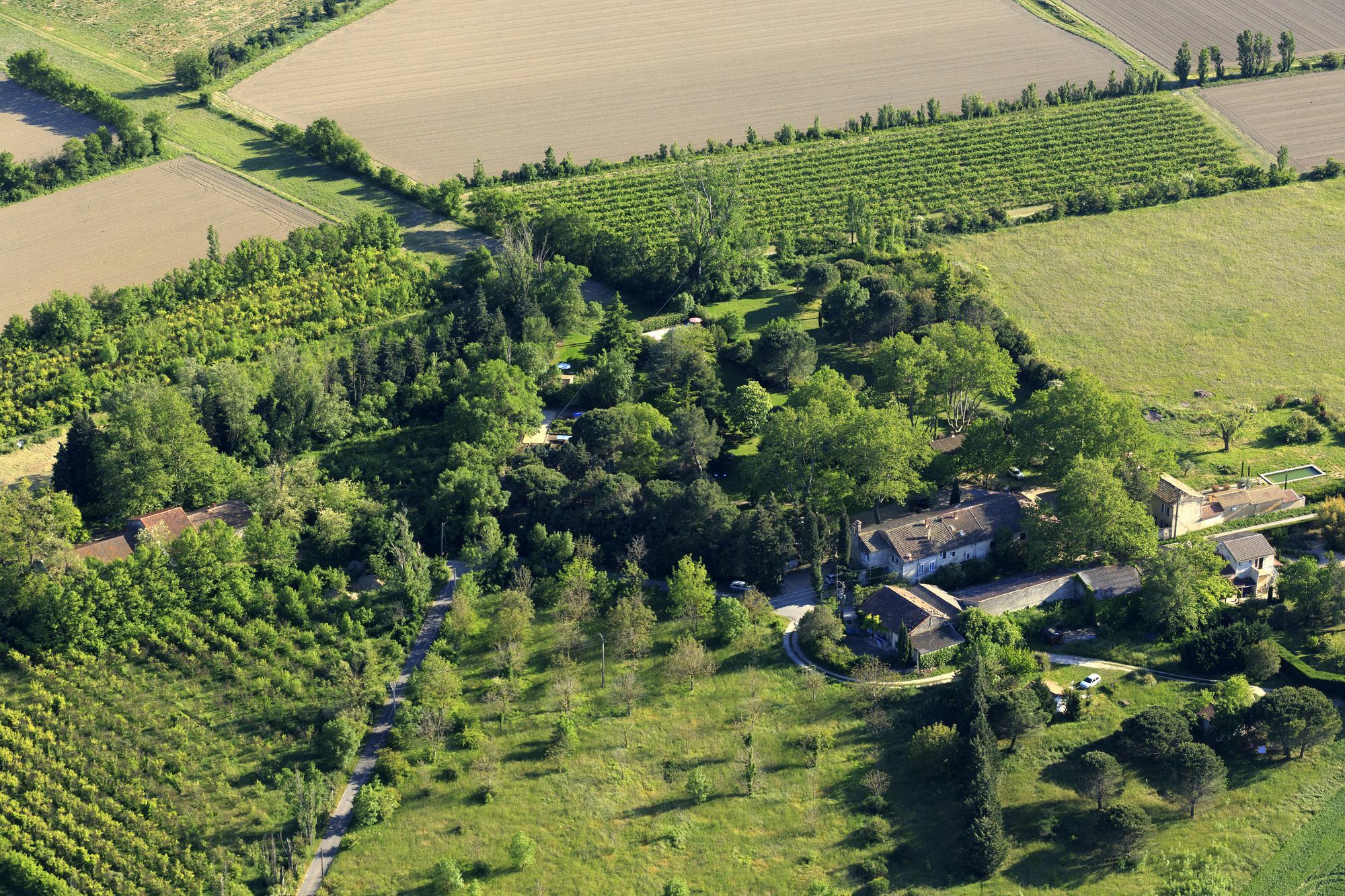 Les Gites Du Domaine De Rhodes Авиньон Екстериор снимка